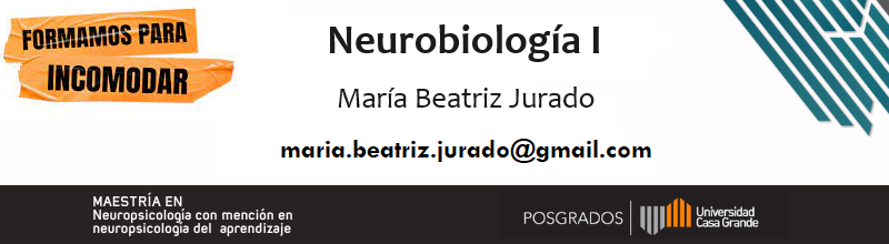 Neurobiología I P4 2023