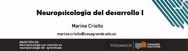 Neuropsicología del desarrollo I P4 2023