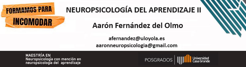 Neuropsicología del aprendizaje II P4 2023