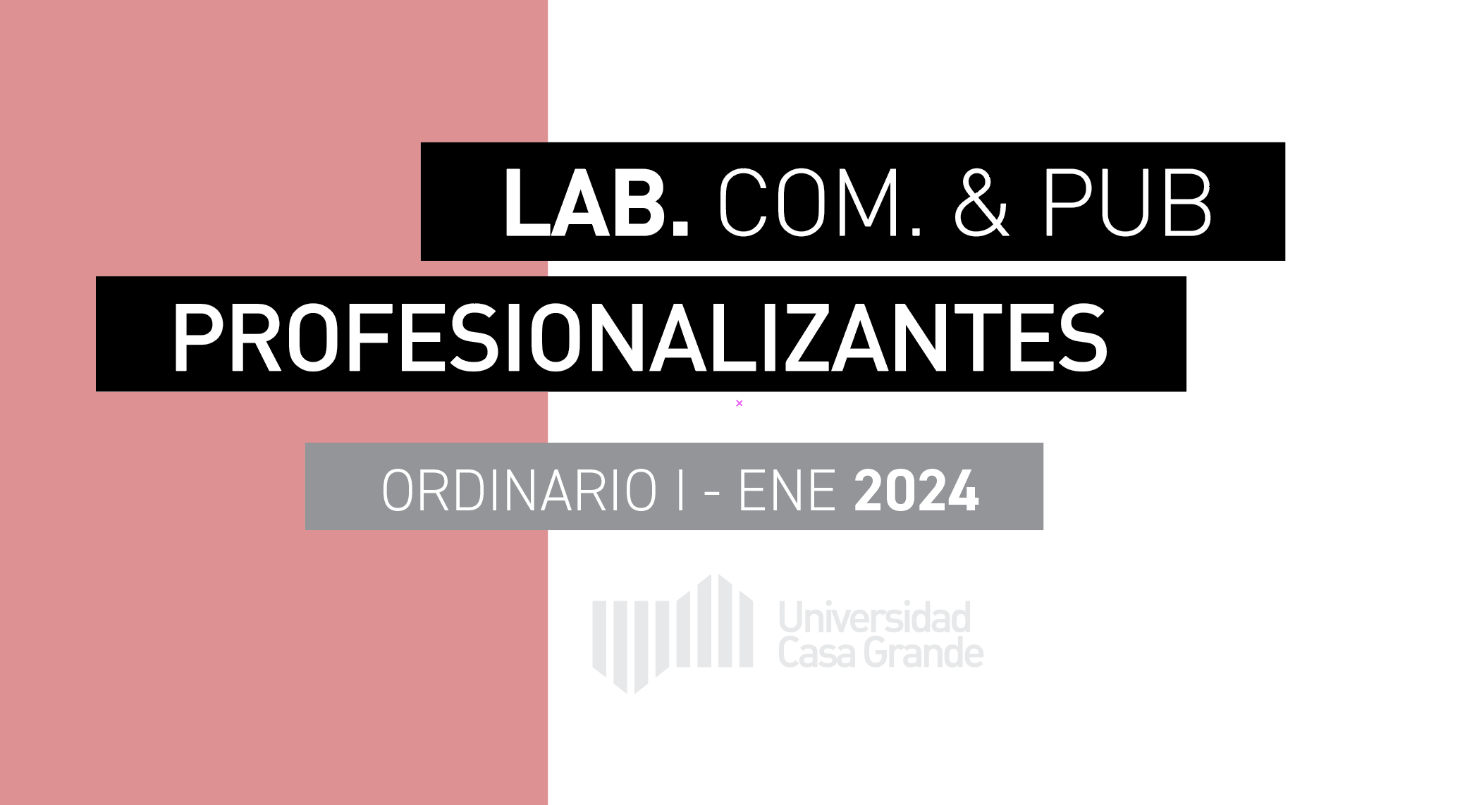 LAB: CAMPANA DE COMUNICACION SOCIAL SIN FINES DE LUCRO / PUBLICIDAD Y RRPP - 1P - ENERO 2024 - VILLAVICENCIO ROMERO, PAMELA 