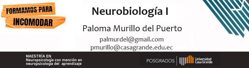 Neurobiología I P1 2024