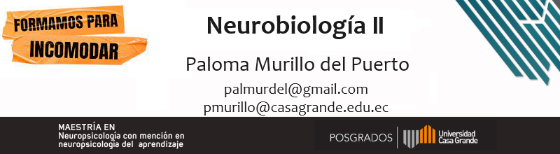 Neurobiología II P1 2024