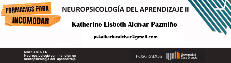 Neuropsicología del aprendizaje II P3 2024