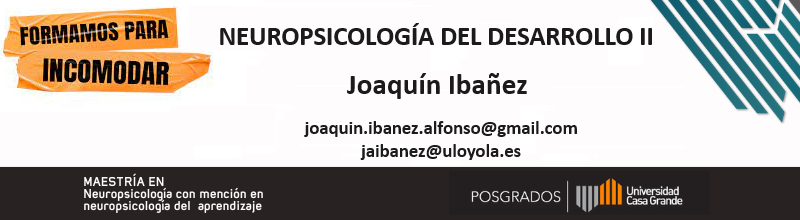Neuropsicología del desarrollo II P4 2024