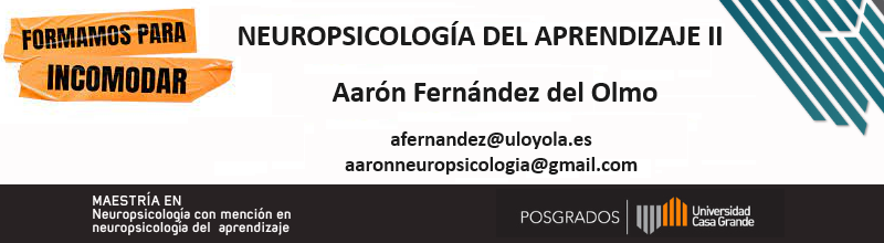 Neuropsicología del aprendizaje II P4 2024