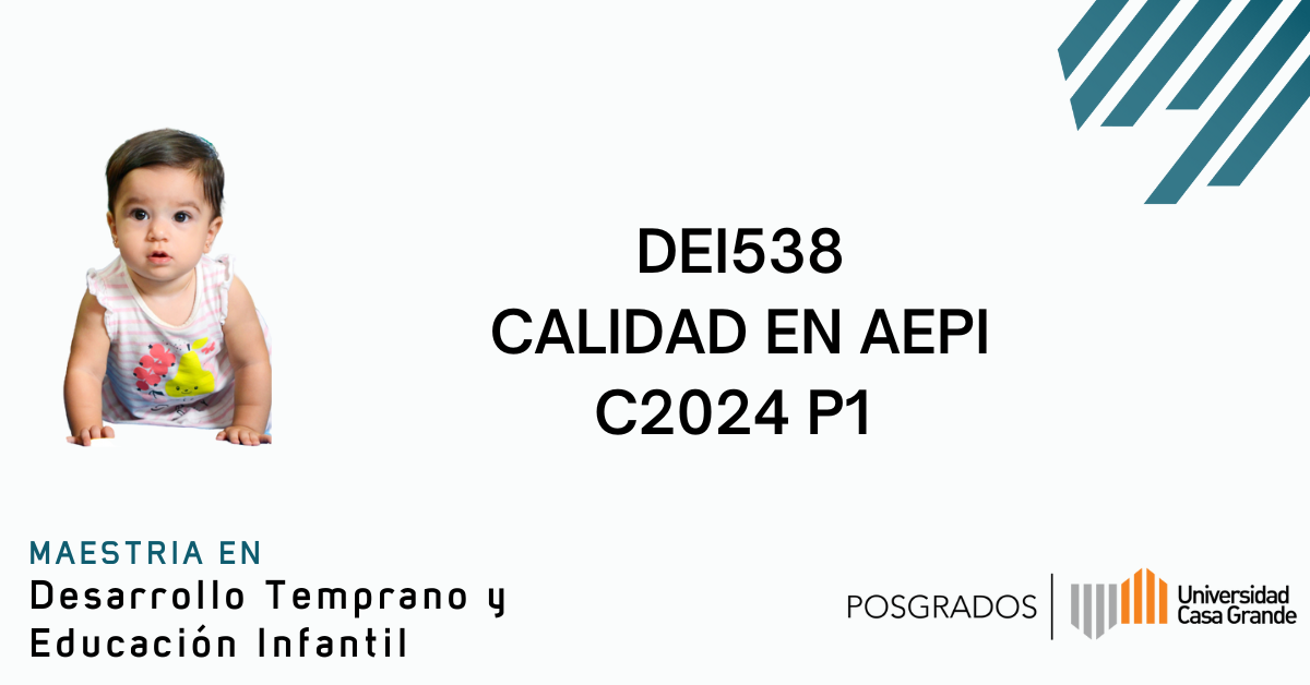 Calidad en AEPI C2024 P1