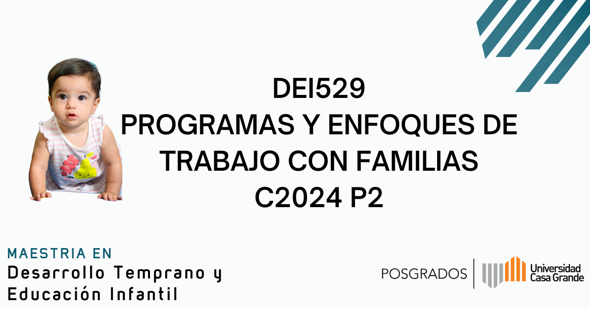 Programas y Enfoques de Trabajo con Familias C2024 P2