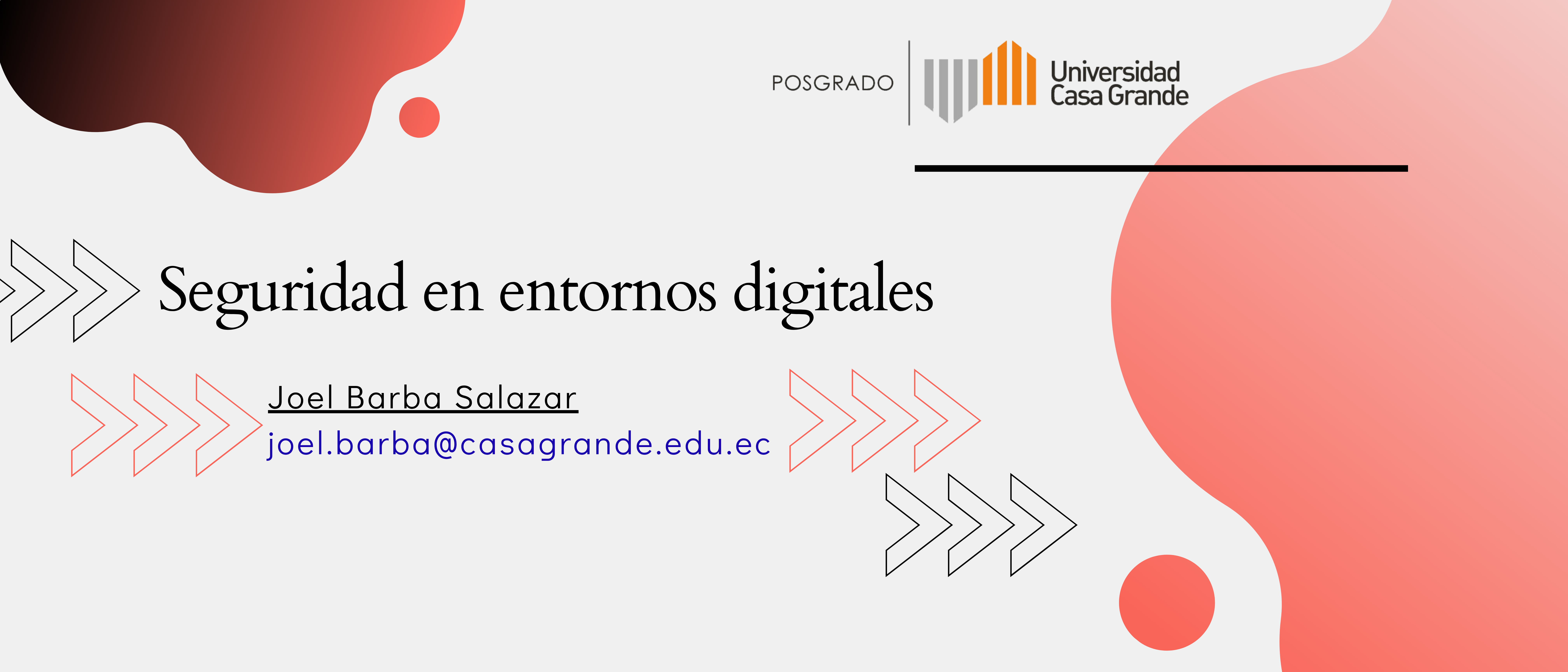 Seguridad en entornos digitales P1 2024 