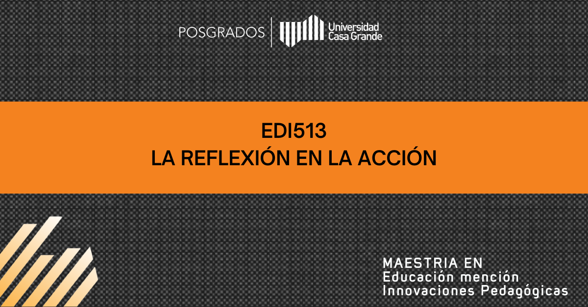 EDI513 La Reflexión en la Acción C2025 P2