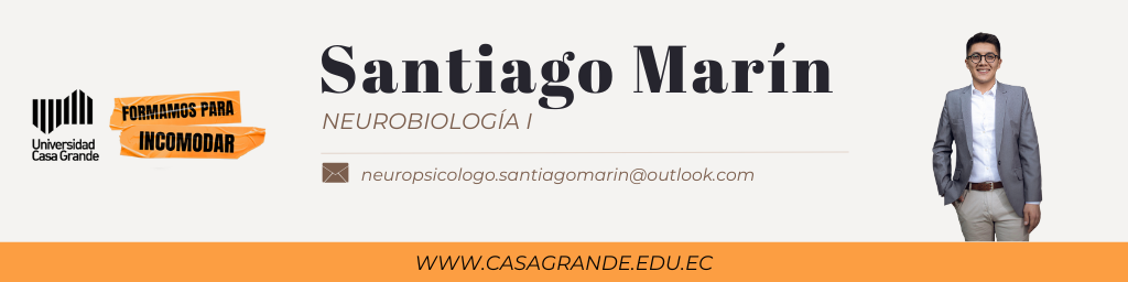 Neurobiología I P3 2025