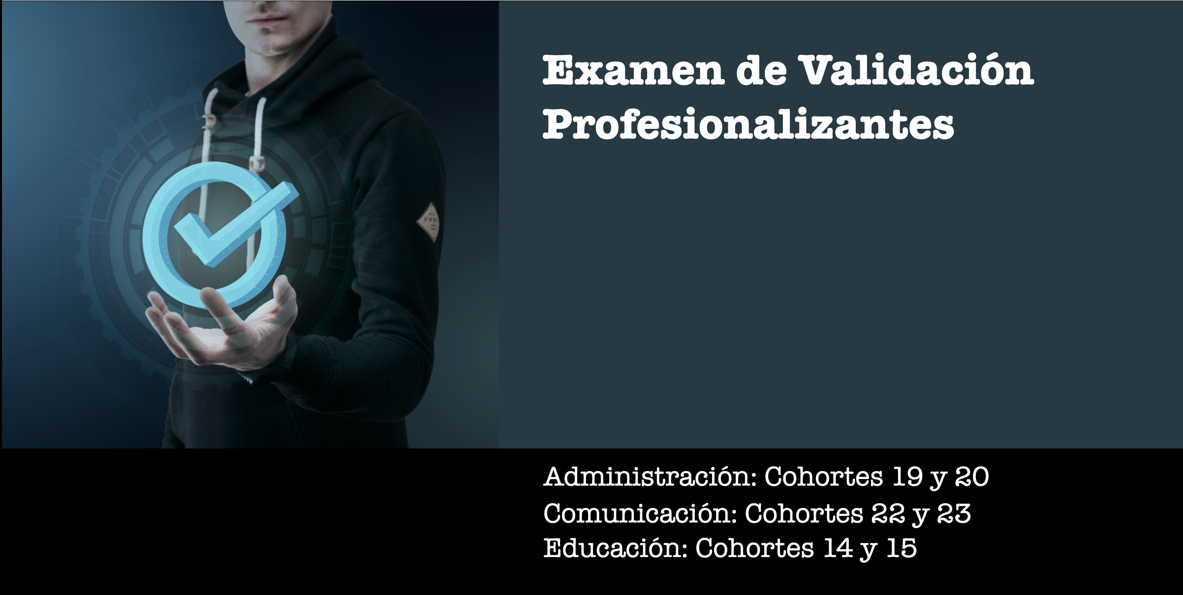 Validaciones de Conocimientos Profesionalizantes