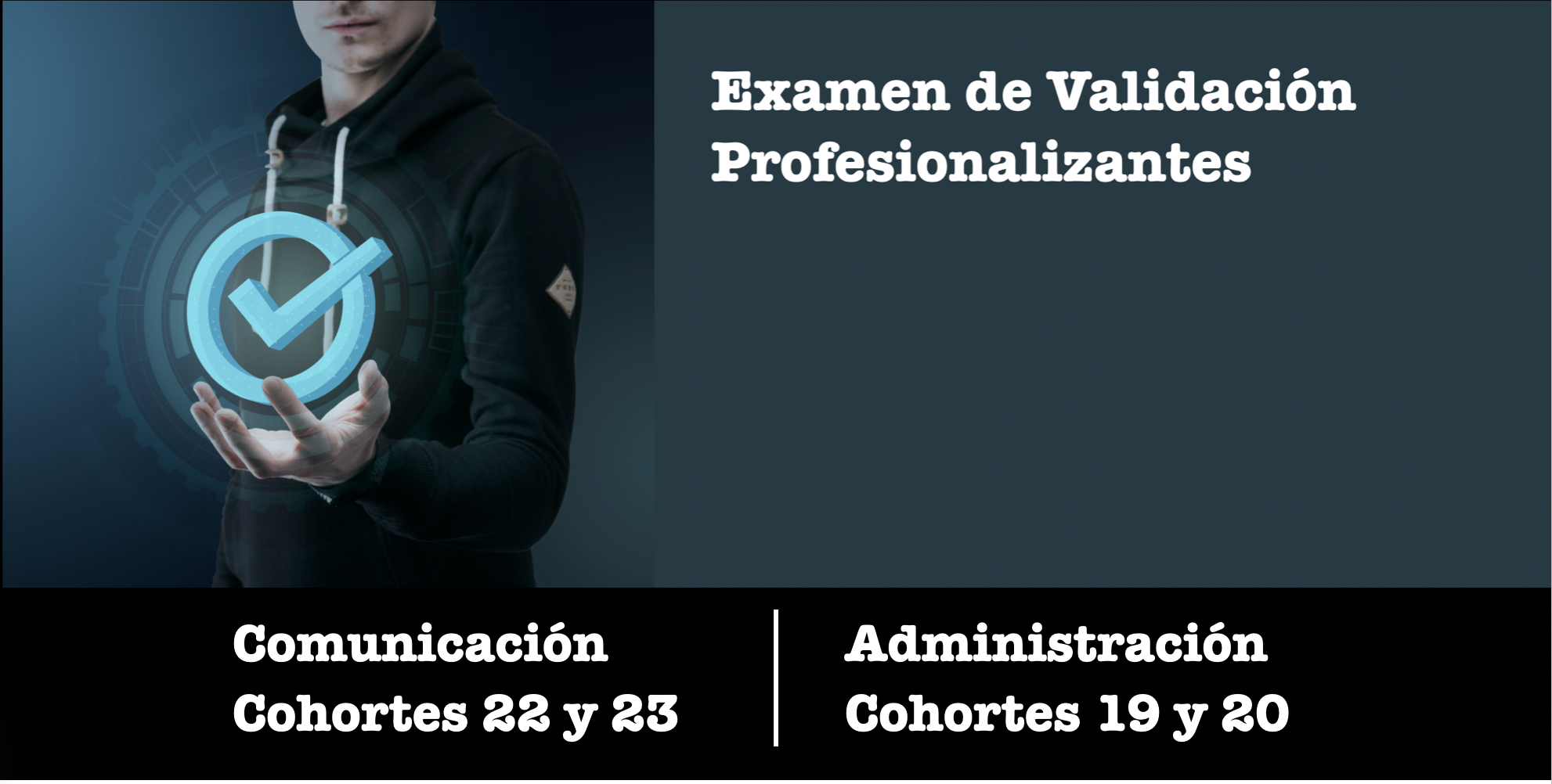 Validaciones de Conocimientos Profesionalizantes