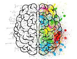 DESARROLLO HUMANO, NEUROCIENCIAS Y APRENDIZAJE -C19  1P - ABRIL 2026 - FRUGONE JARAMILLO, MARCELA FABIOLA