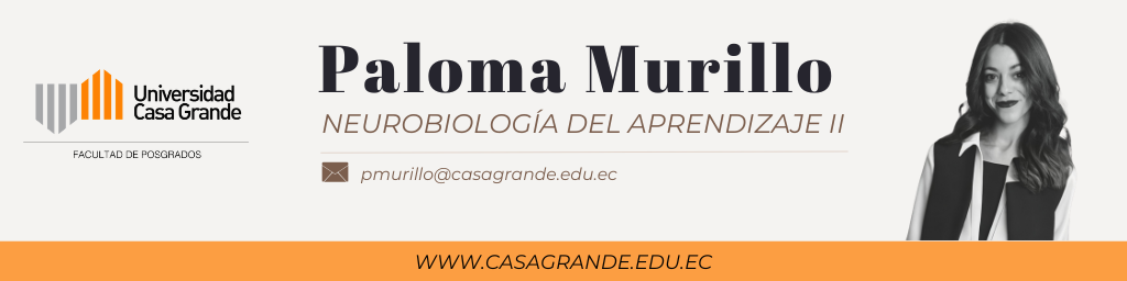 Neuropsicología del aprendizaje II P4 2025